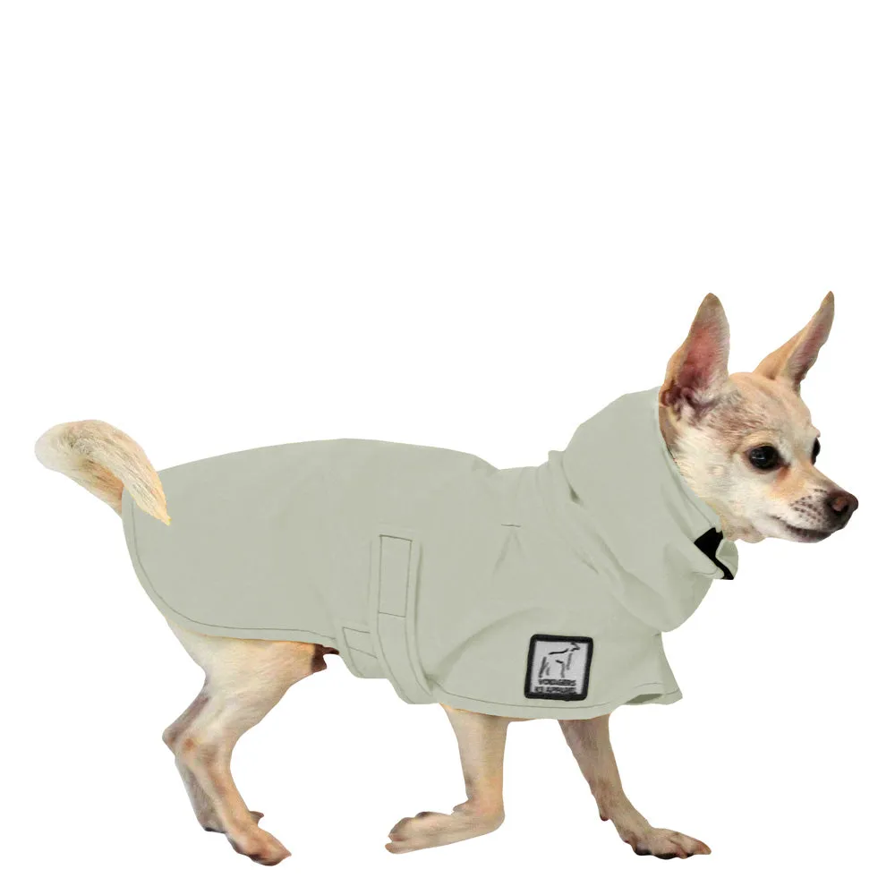 Chihuahua Raincoat